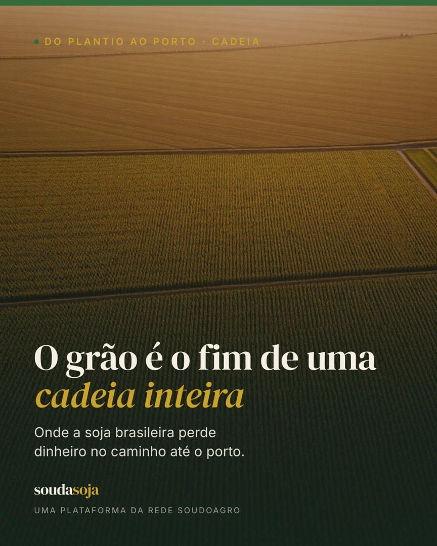 Do grão ao porto: a viagem que define a margem