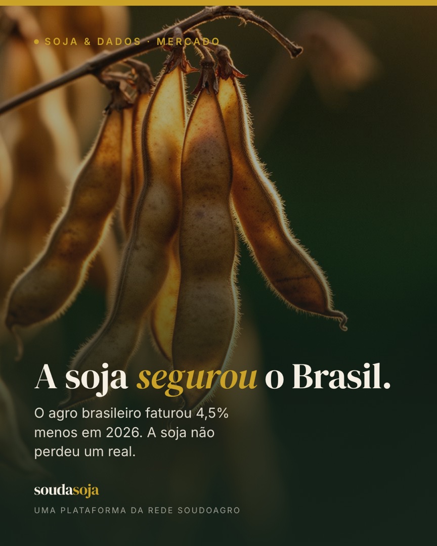 VBP: a soja segurou o Brasil