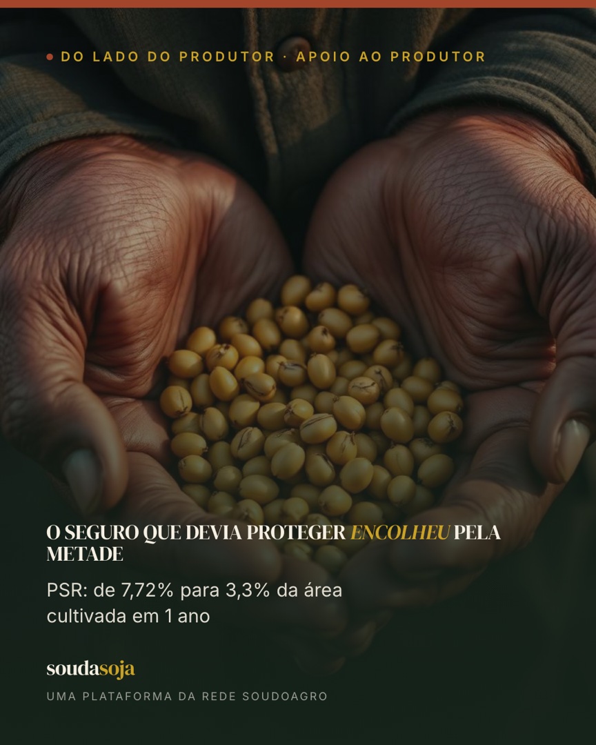 O seguro que devia proteger encolheu pela metade