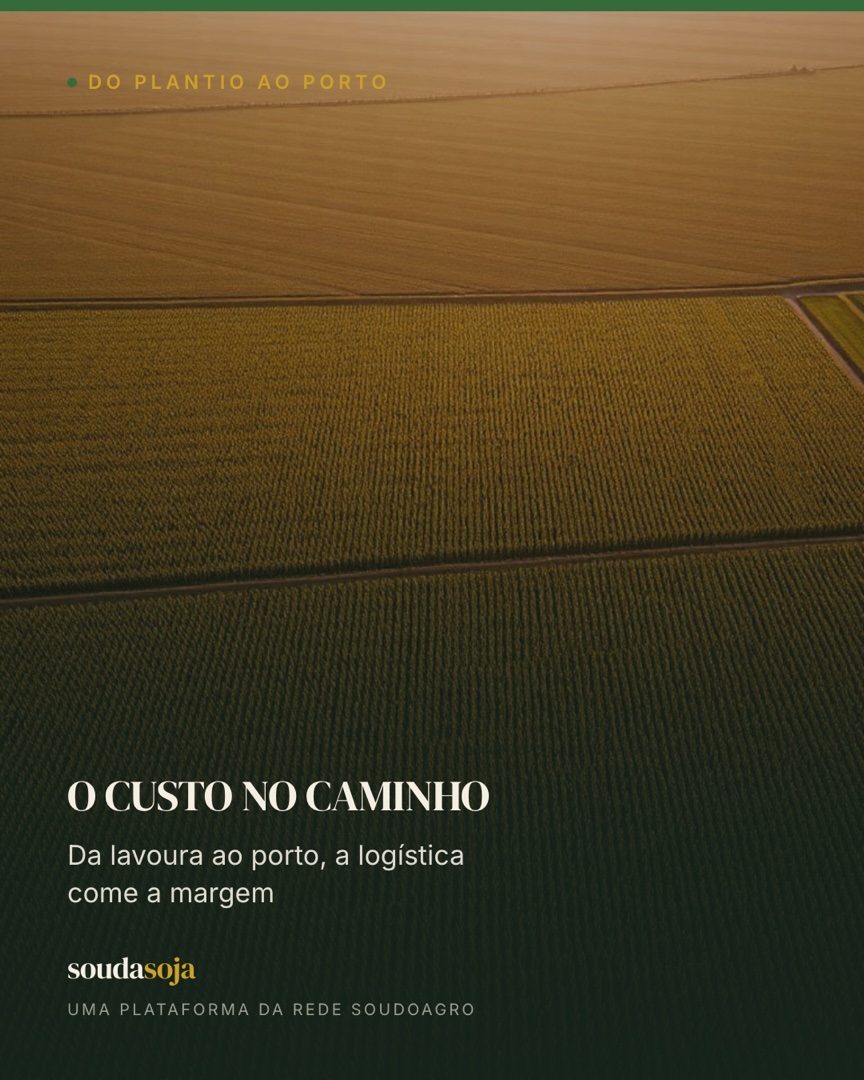 O custo no caminho