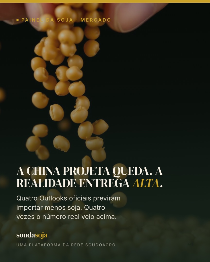 A china projeta queda. a realidade entrega alta.