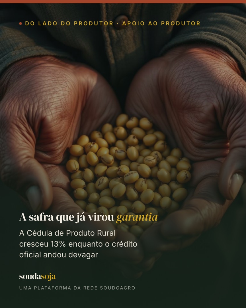 A safra que já virou garantia