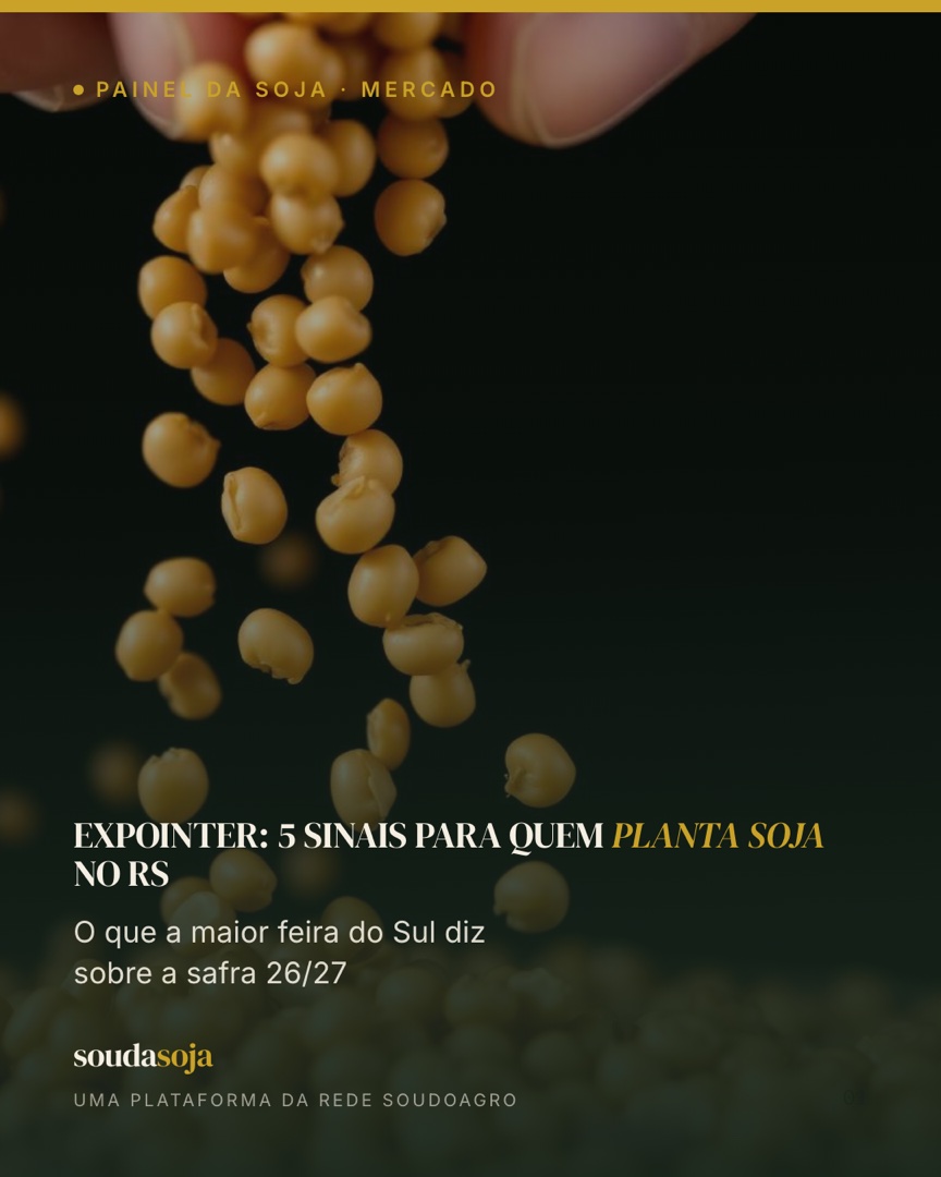 Expointer: 5 sinais para quem planta soja no rs