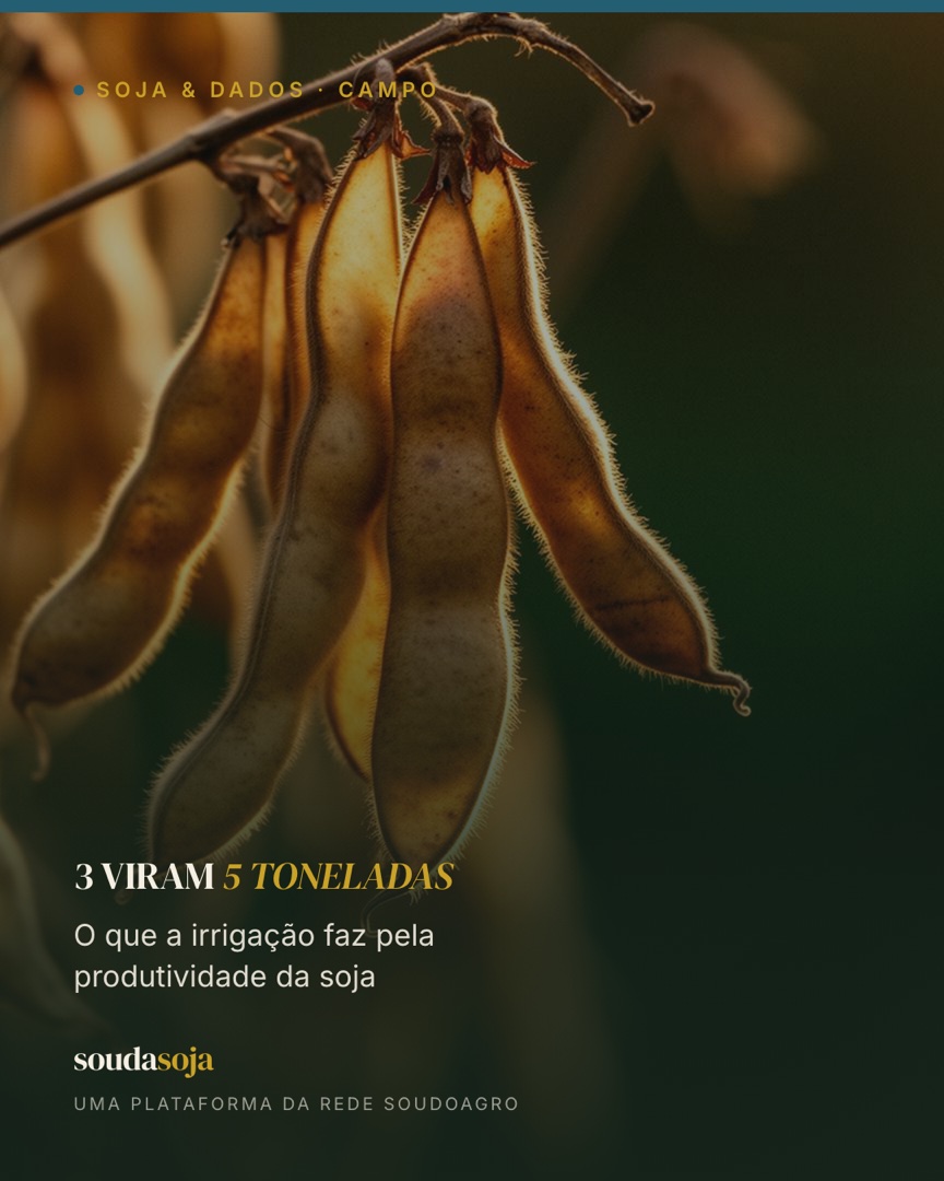 3 viram 5 toneladas