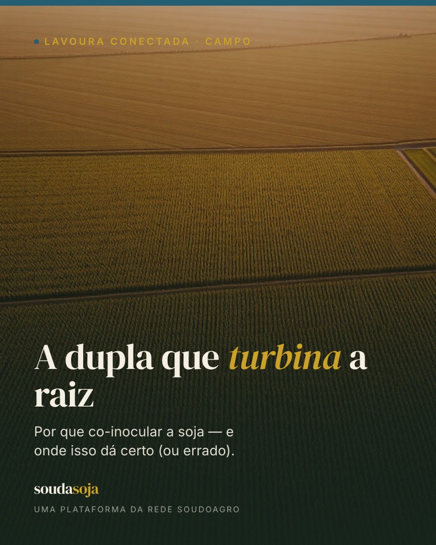 A dupla que turbina a raiz: por que co-inocular a soja