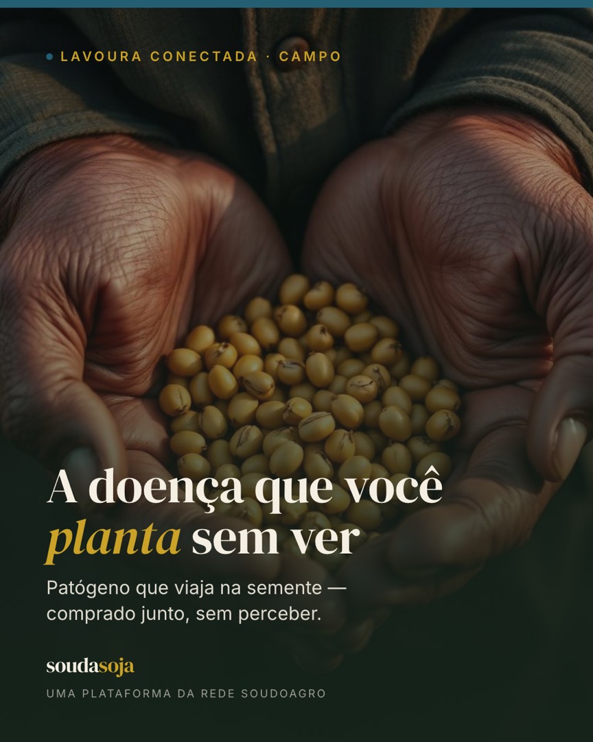 Patógeno que viaja na semente: a doença que você planta sem ver