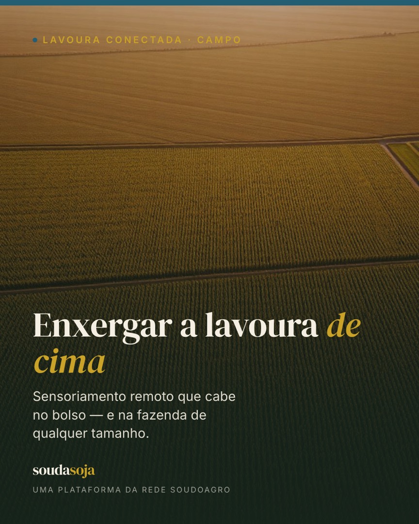 Enxergar a lavoura de cima: sensoriamento remoto que cabe no bolso