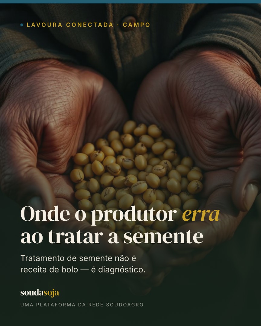 Tratamento de semente: onde o produtor erra ao avaliar o serviço