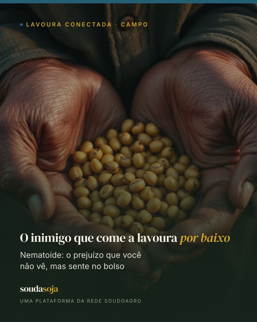 O inimigo que come a lavoura por baixo