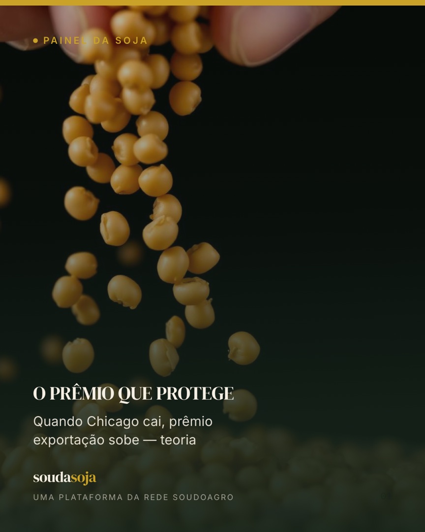 O prêmio que protege