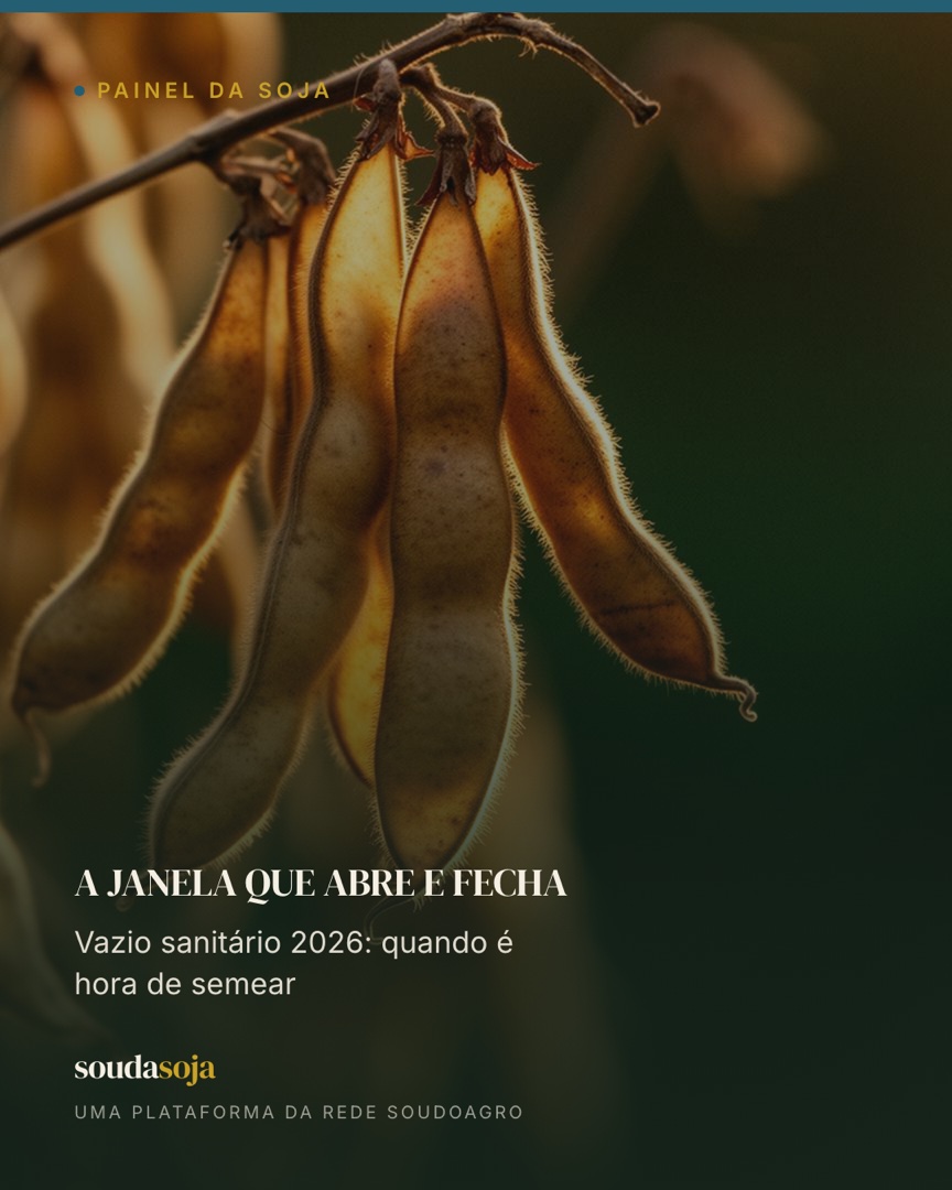 A janela que abre e fecha