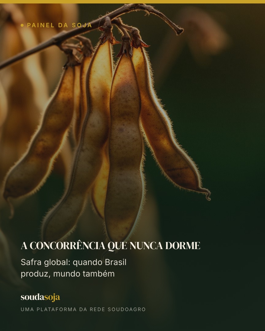 A concorrência que nunca dorme