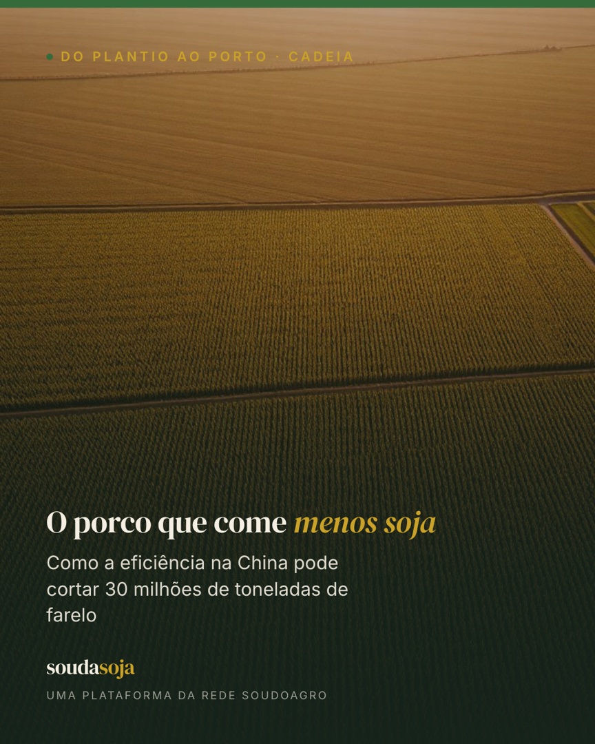 O porco que come menos soja