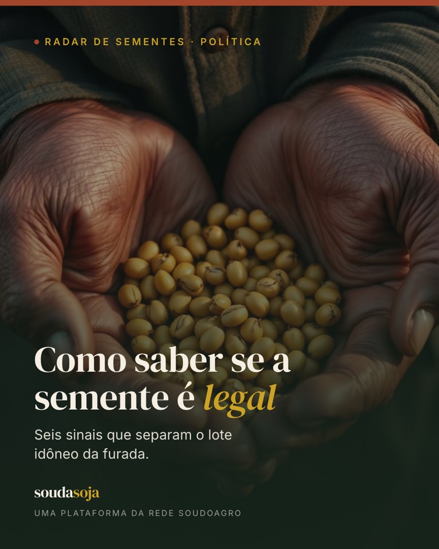 Como reconhecer semente legal: RENASEM, nota fiscal e os sinais de fraude