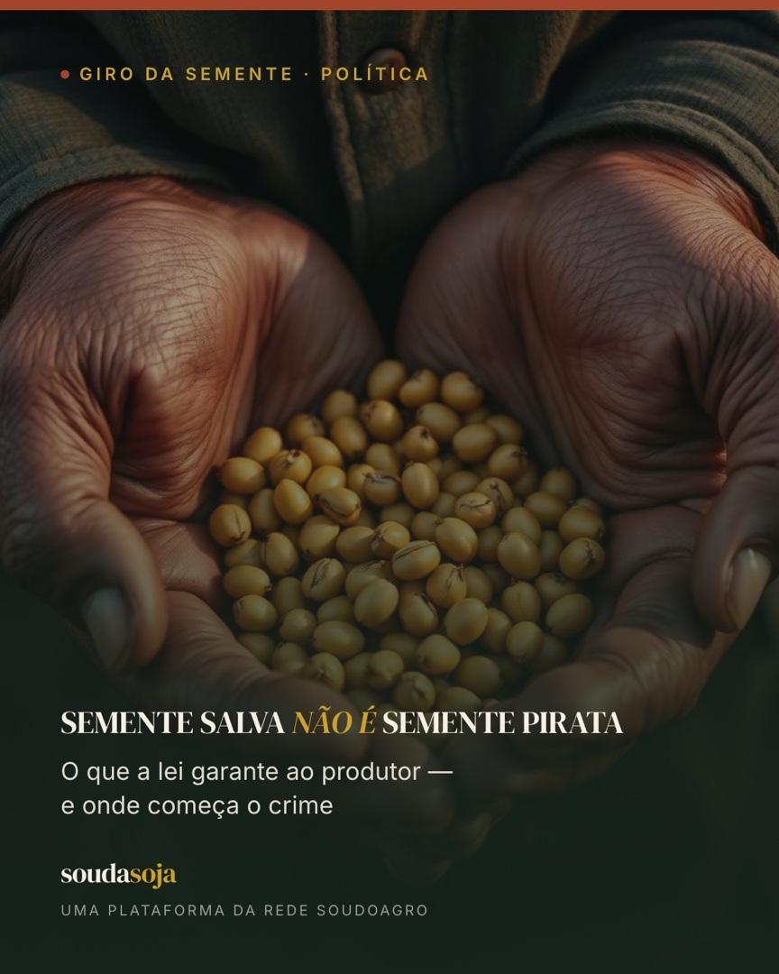 Semente salva não é semente pirata