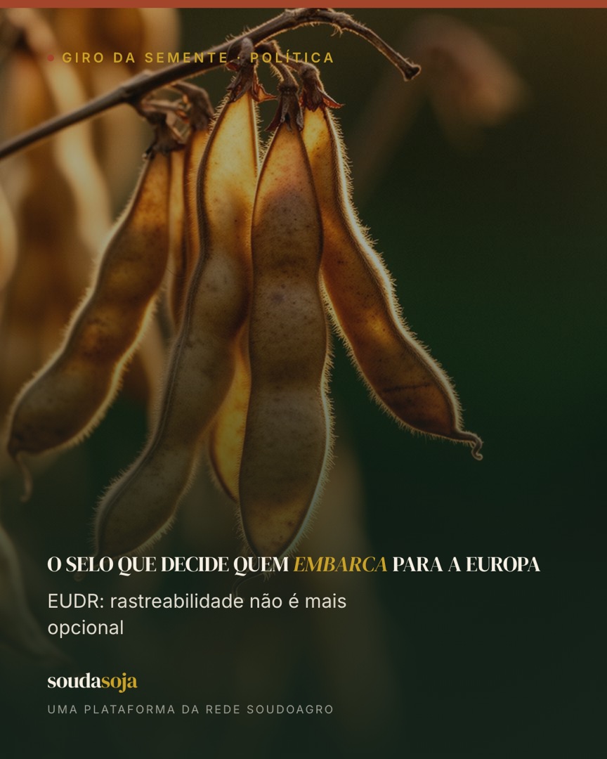 O selo que decide quem embarca para a europa