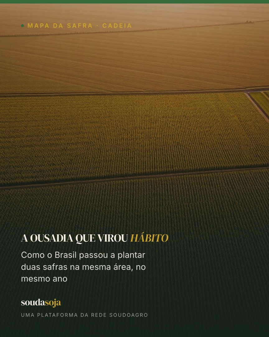 A ousadia que virou hábito