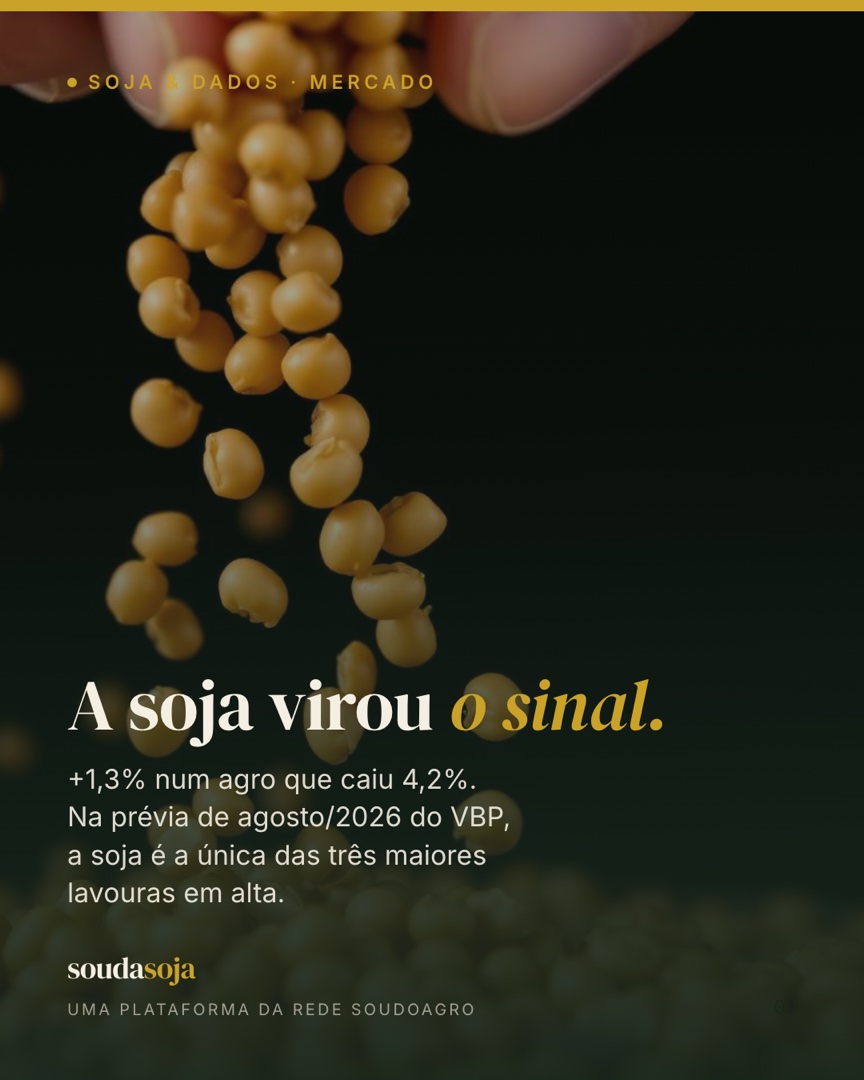 A soja virou o sinal.