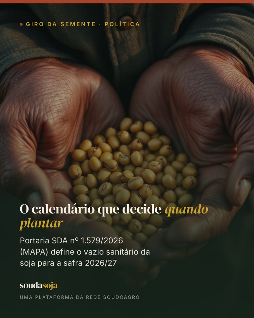 O calendário que decide quando plantar