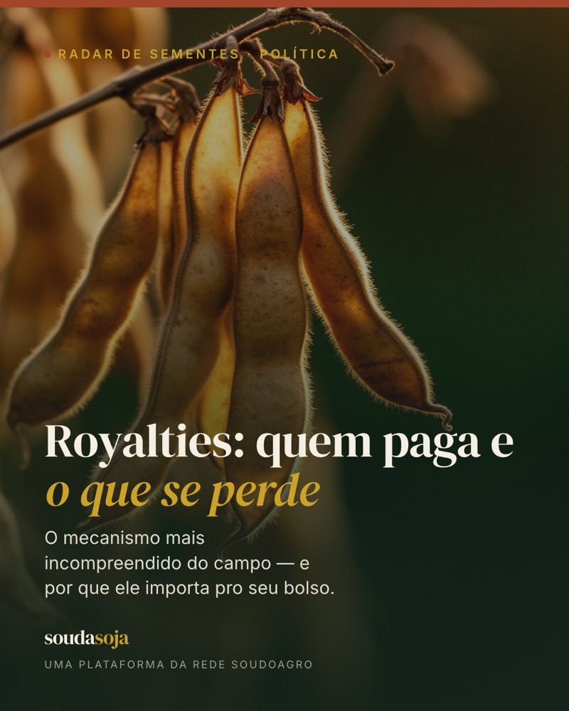 Royalties: quem paga, pra onde vai, e o que se perde quando ninguém paga