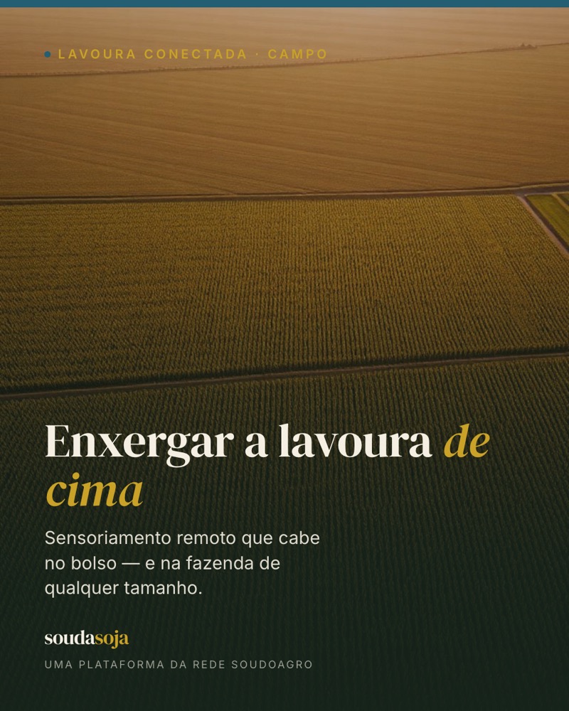 Enxergar a lavoura de cima: sensoriamento remoto que cabe no bolso