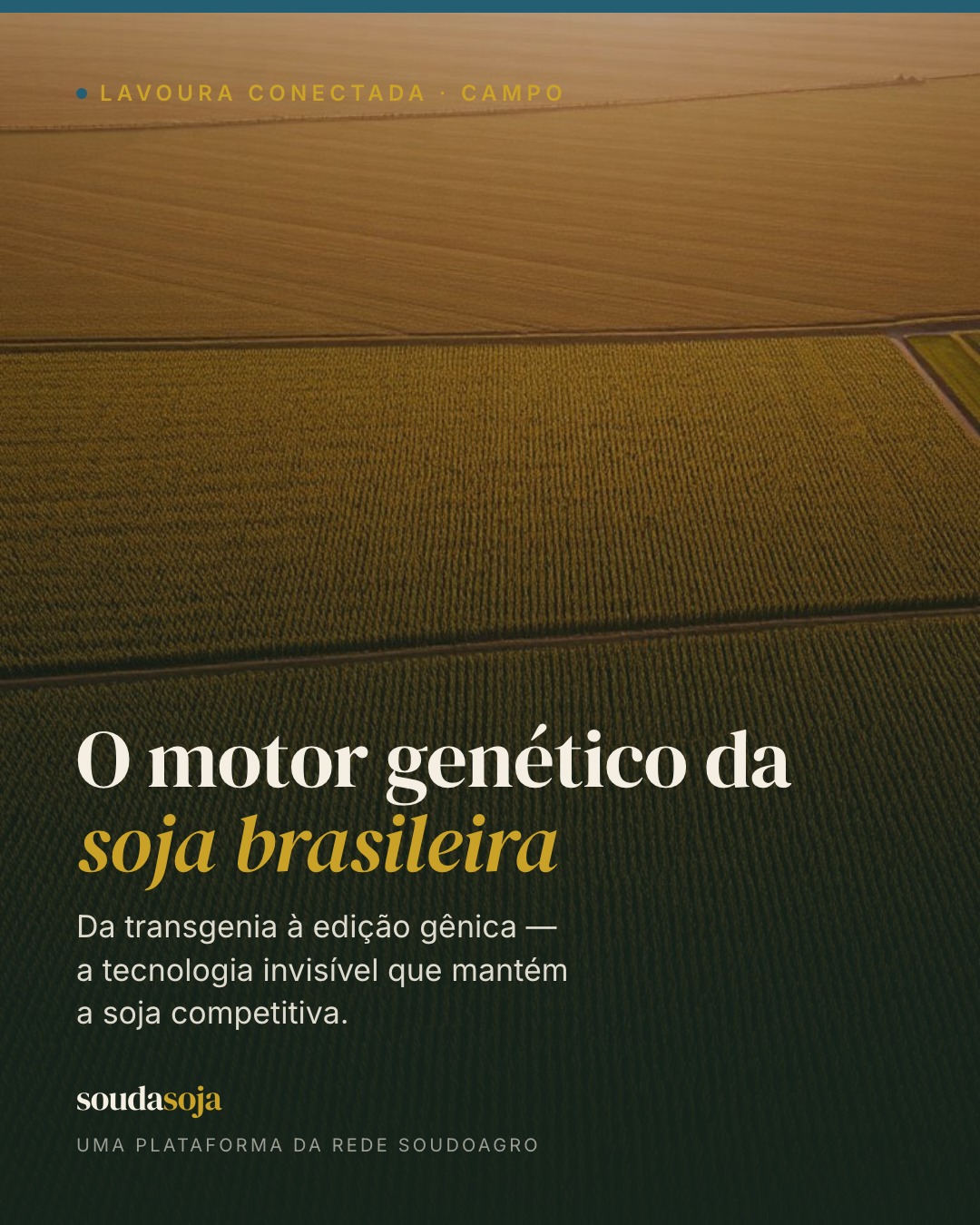 Biotecnologia é uma palavra grande pra uma ideia simples: usar conhecimento sobre a vida p
