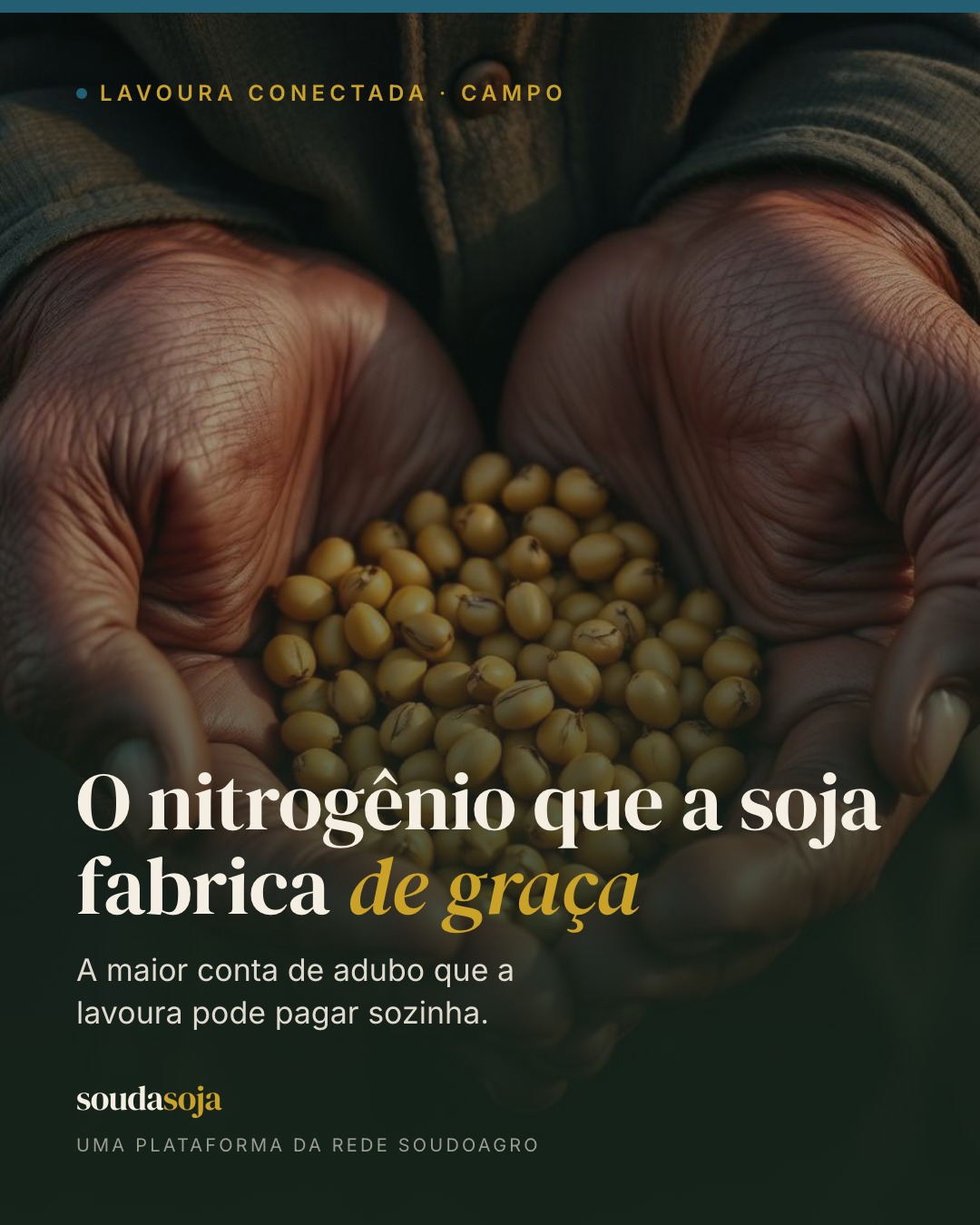 O nitrogênio é o nutriente que a soja mais consome — e o mais caro de fabricar. Cada tonel