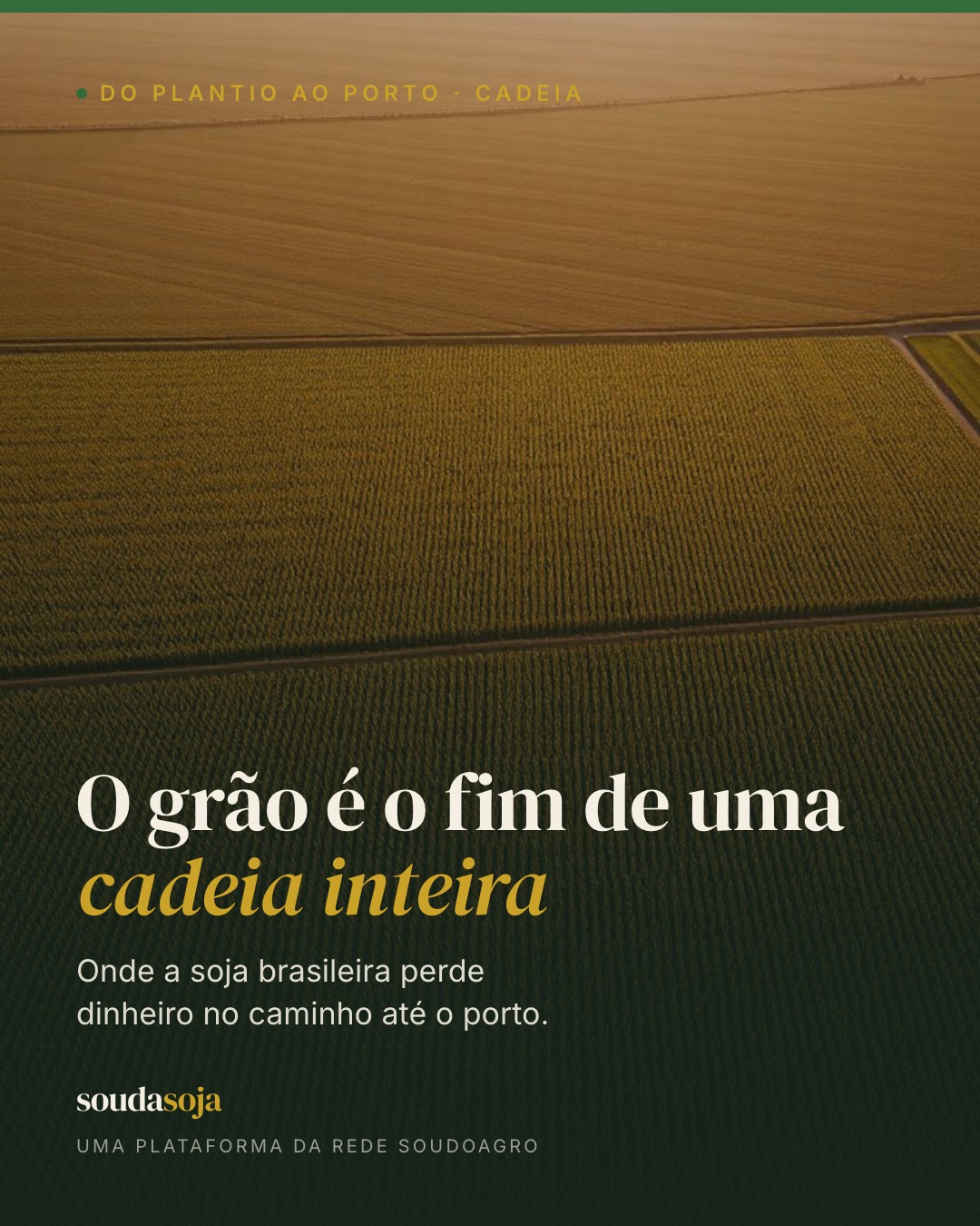Colher é metade do trabalho. Depois do grão no caminhão começa a outra lavoura — a da logí